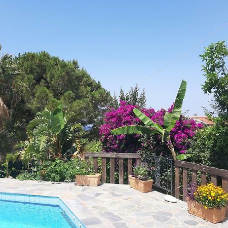 Villa Suites Lagonisi Luxury Exteriör bild