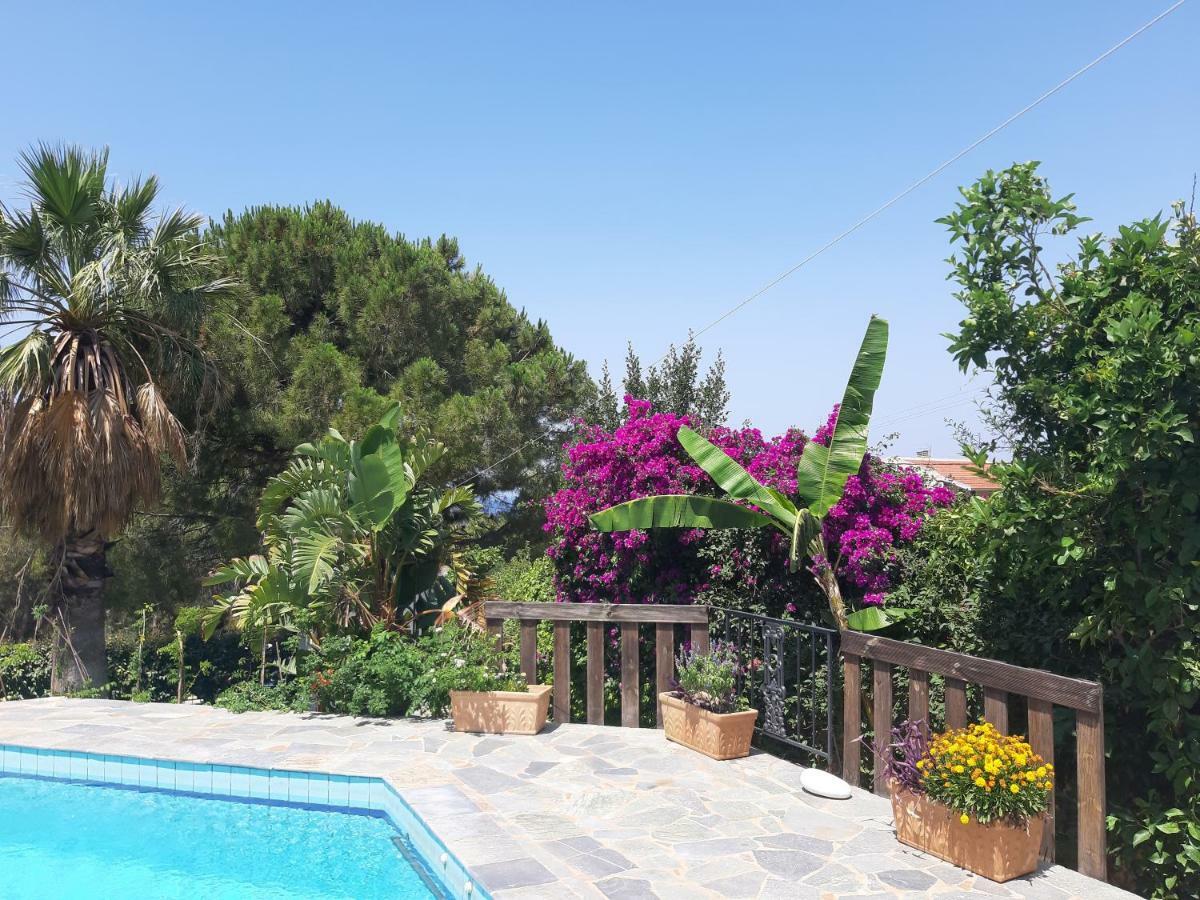 Villa Suites Lagonisi Luxury Exteriör bild